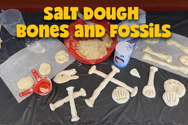 Salt dough bones and fossils