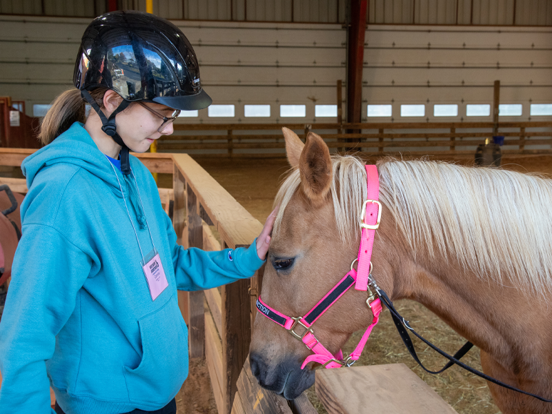 Camper wearing a riding helmet pets a horse over a wooden stable fence.